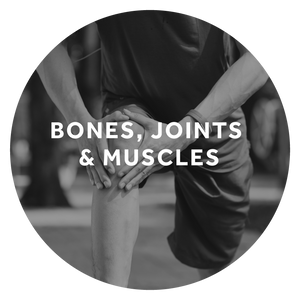 Bones, Joints & Muscles