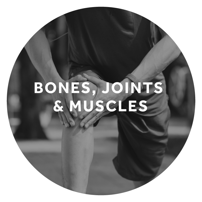 Bones, Joints &amp; Muscles