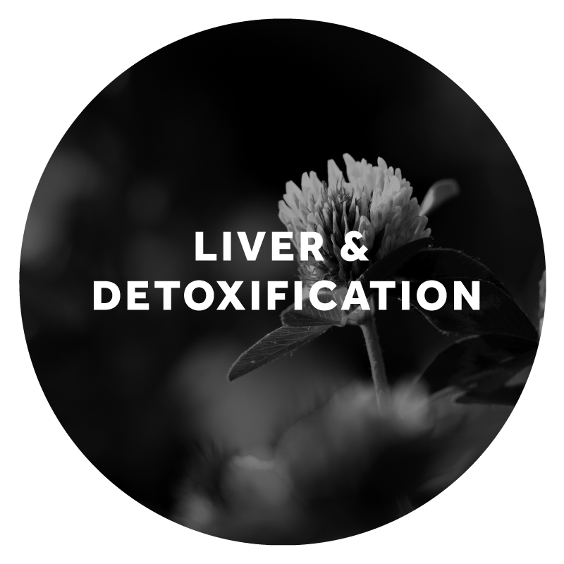 Liver &amp; Detoxification